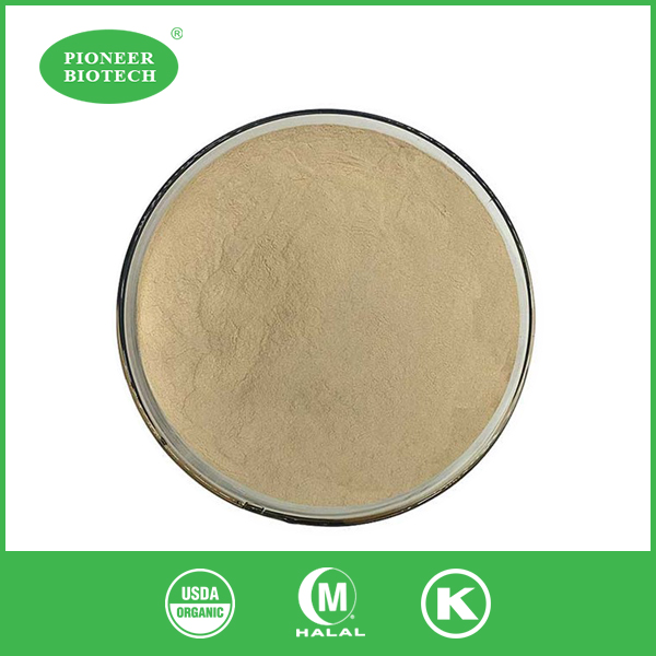 yeast extract powder